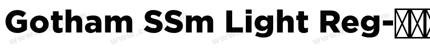 Gotham SSm Light Reg字体转换